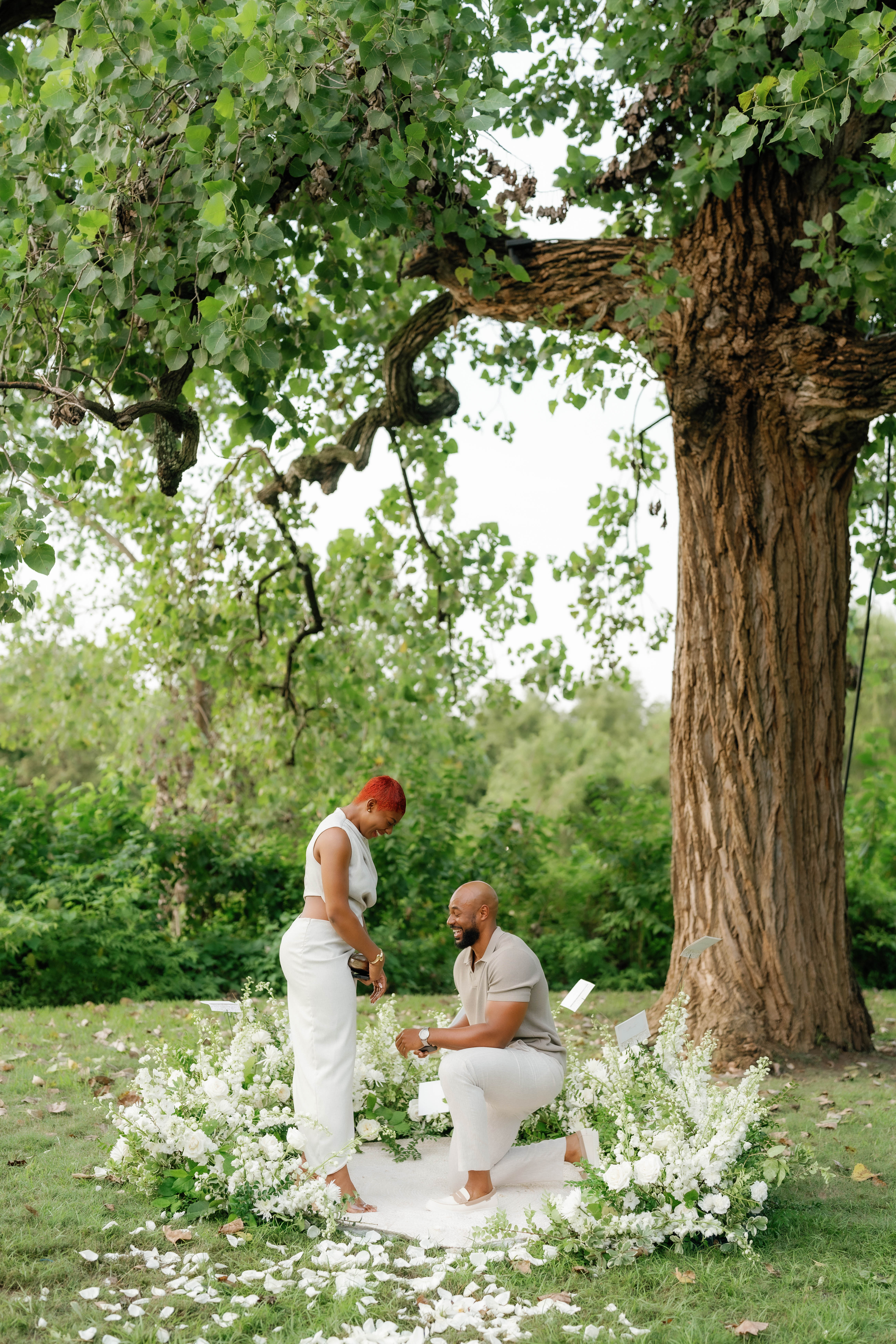 A man kneels on a white runner lined with white flowers under a large leafy tree to propose to a smiling woman.