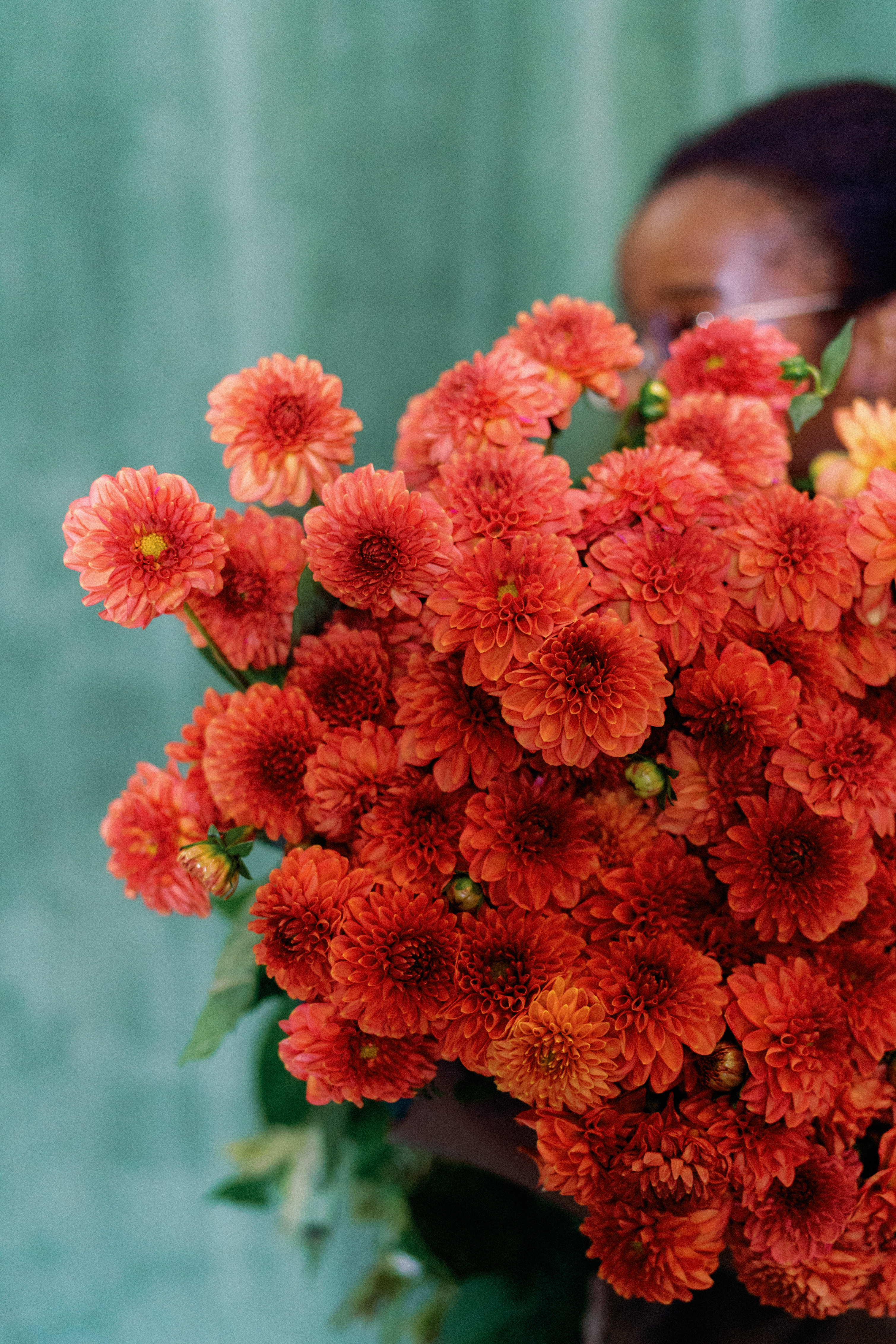 A vibrant cluster of burnt orange and terracotta chrysanthemums set against a muted green background.