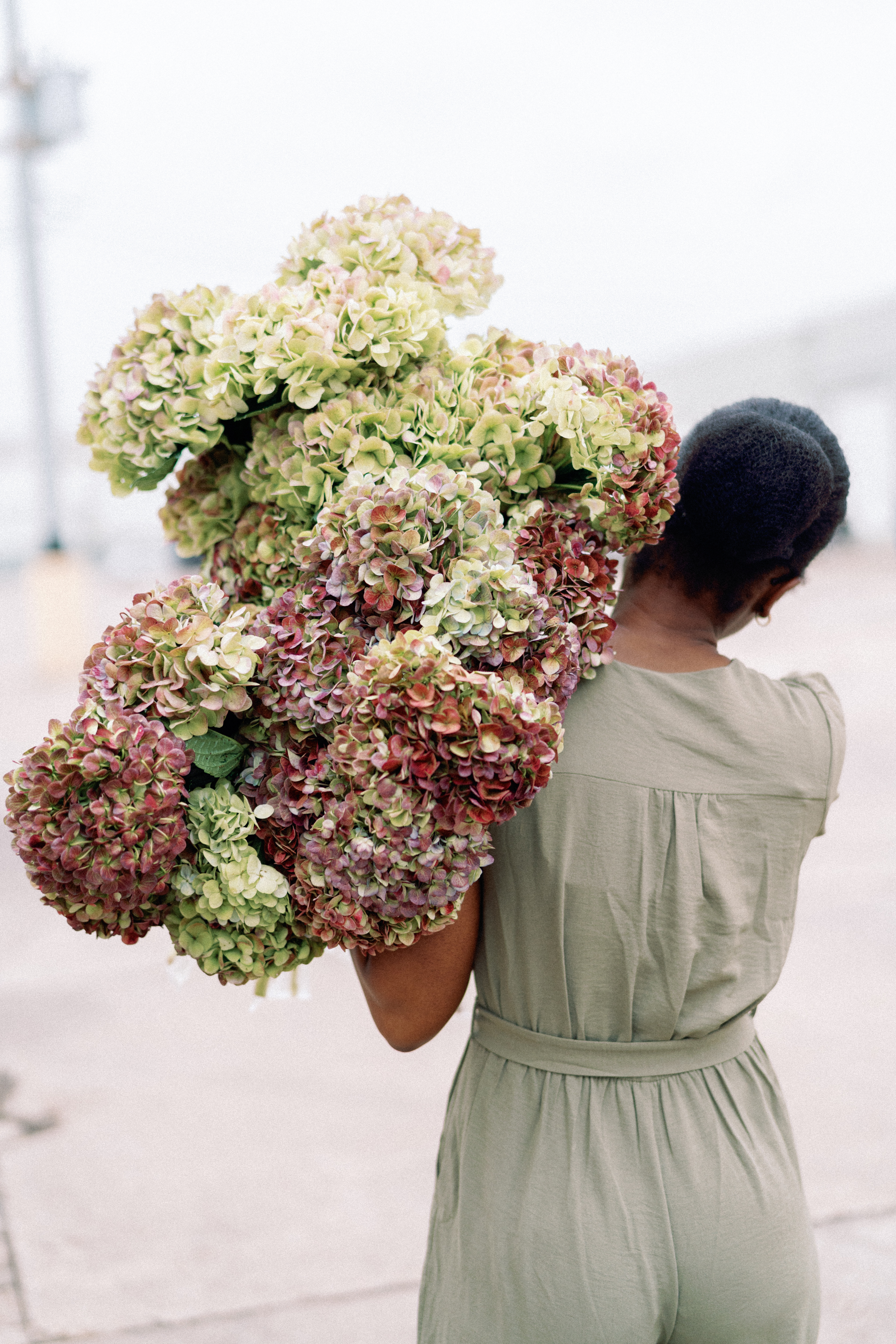 A person in a sage green dress carries a large armful of antique green and blush hydrangeas.