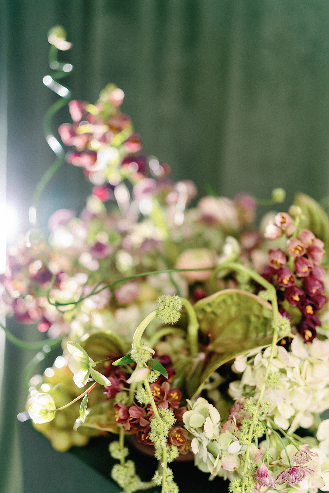 Close-up of a textured floral arrangement featuring deep plum blossoms, soft green hydrangeas, and winding botanical stems.