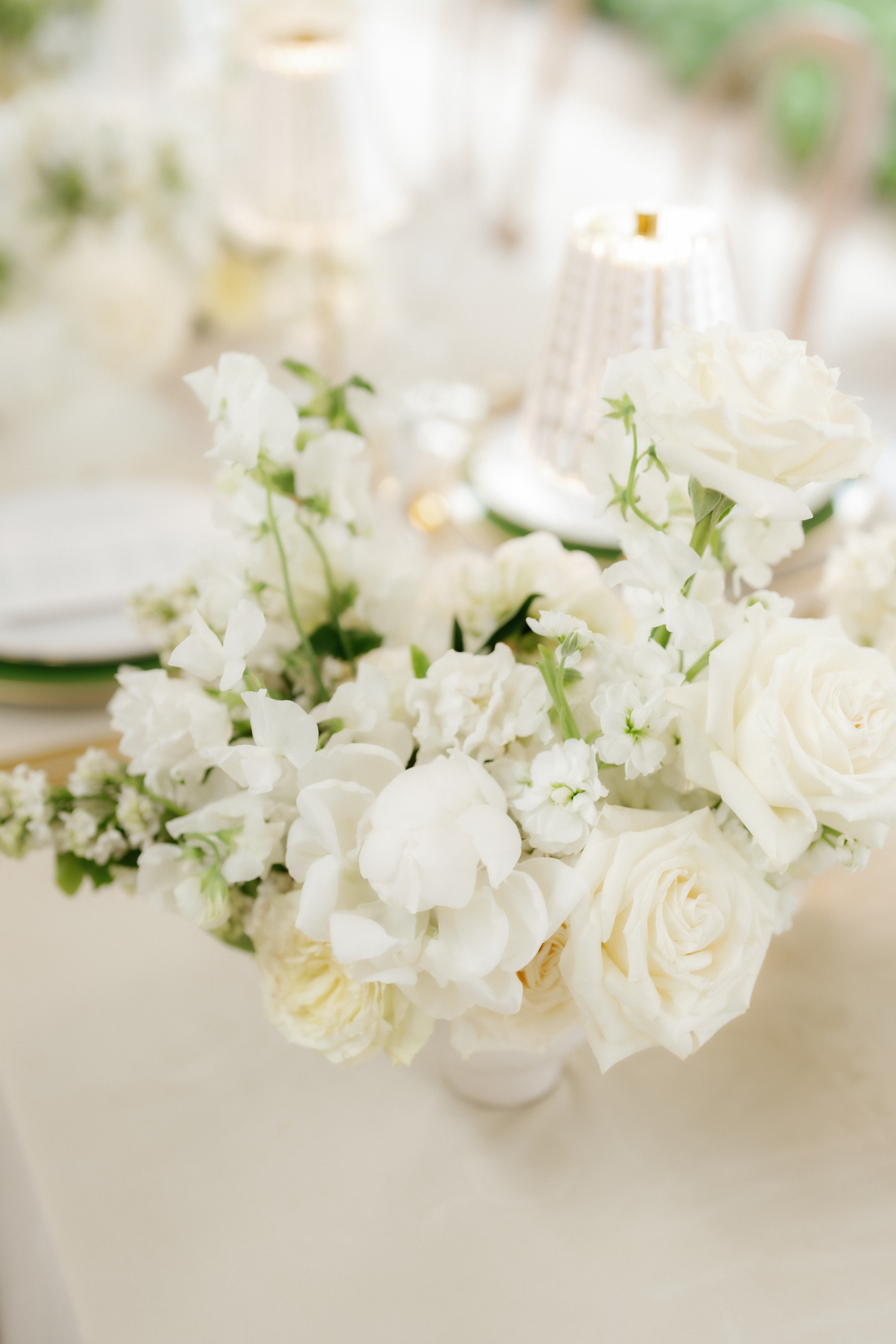 A delicate close-up of cream and white floral blooms with soft ruffled petals.