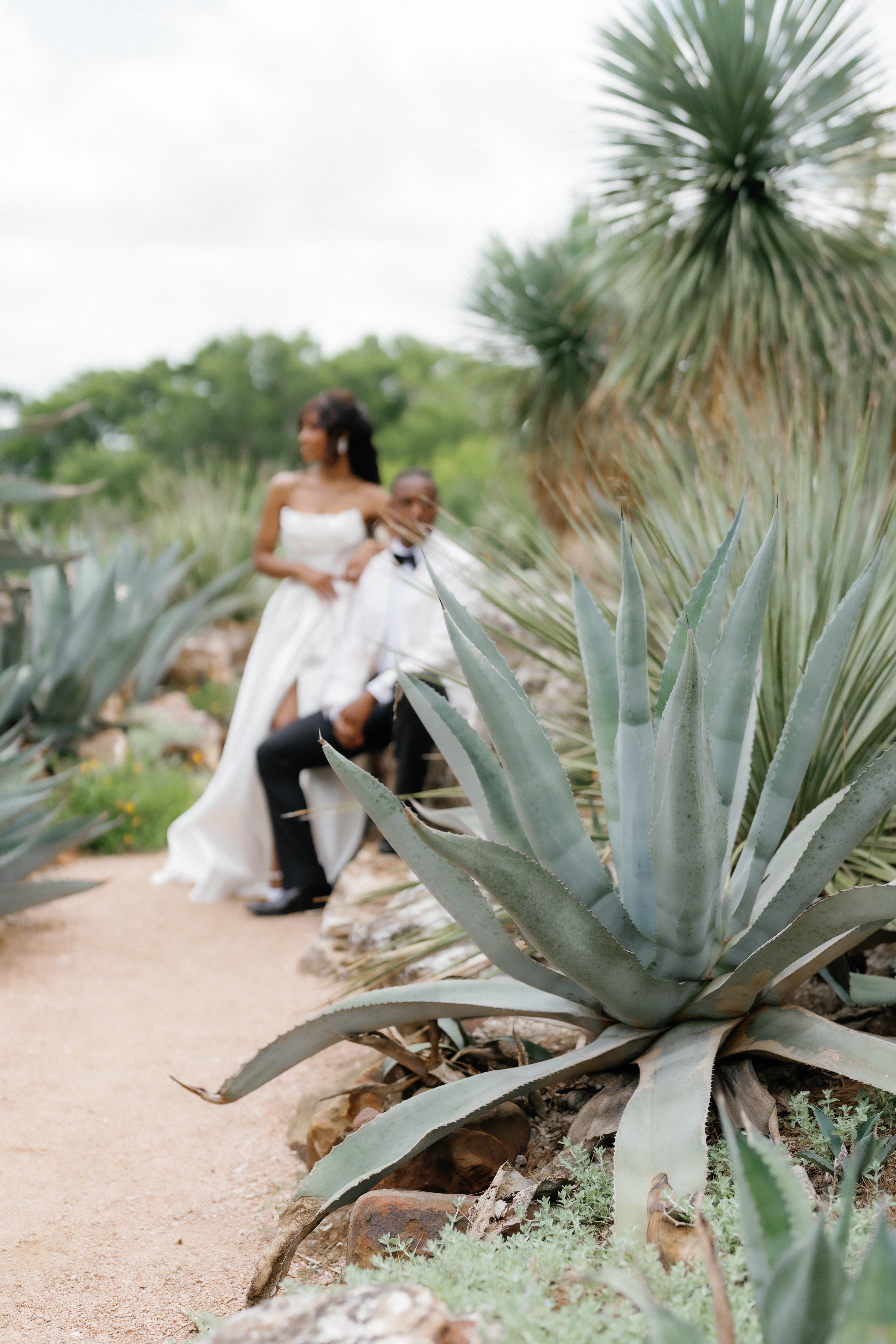 A close-up of an agave succulent with a blurred bride and groom posing in the natural outdoor background.