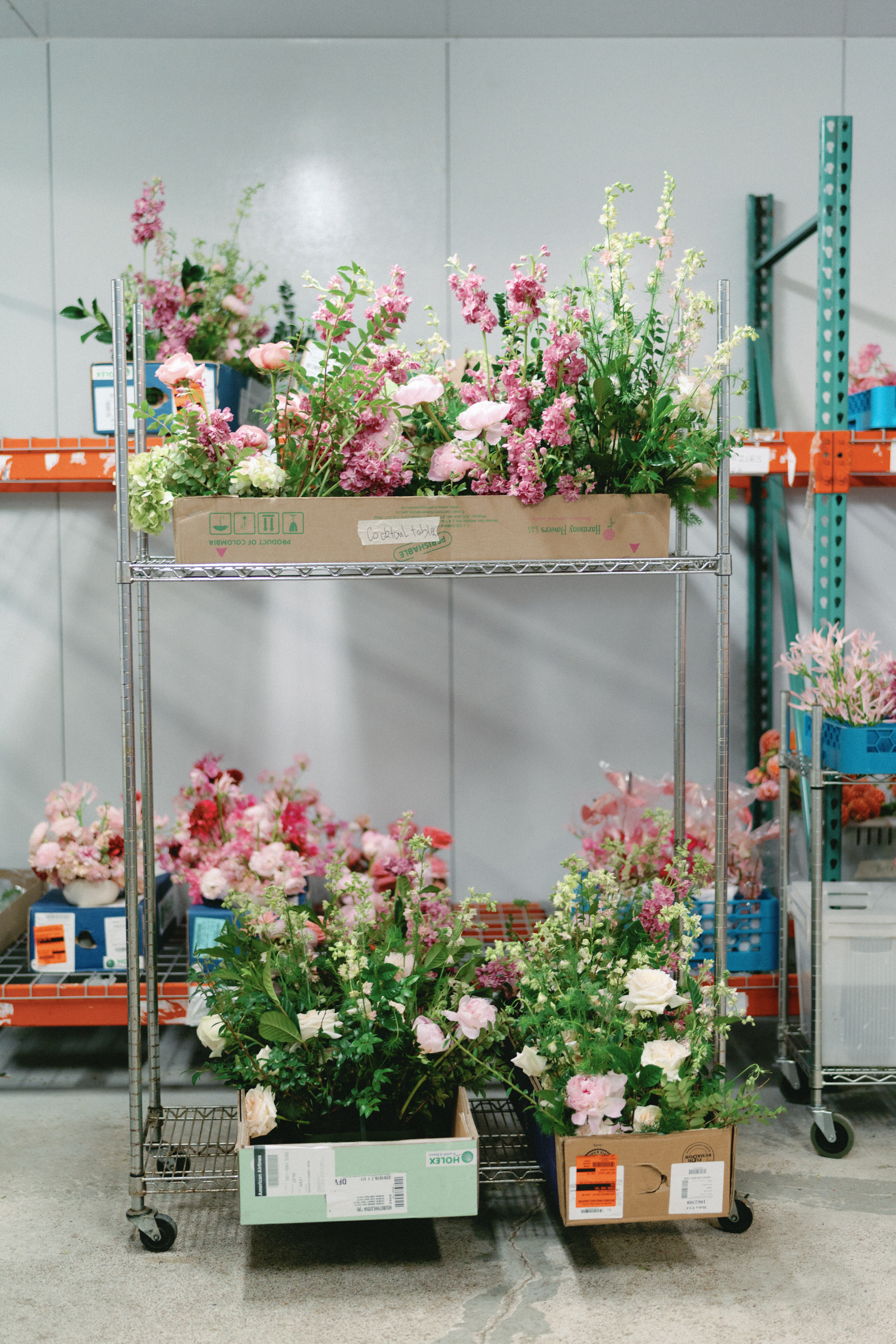 Fresh pink and blush floral arrangements resting in cardboard boxes on wire studio shelving.