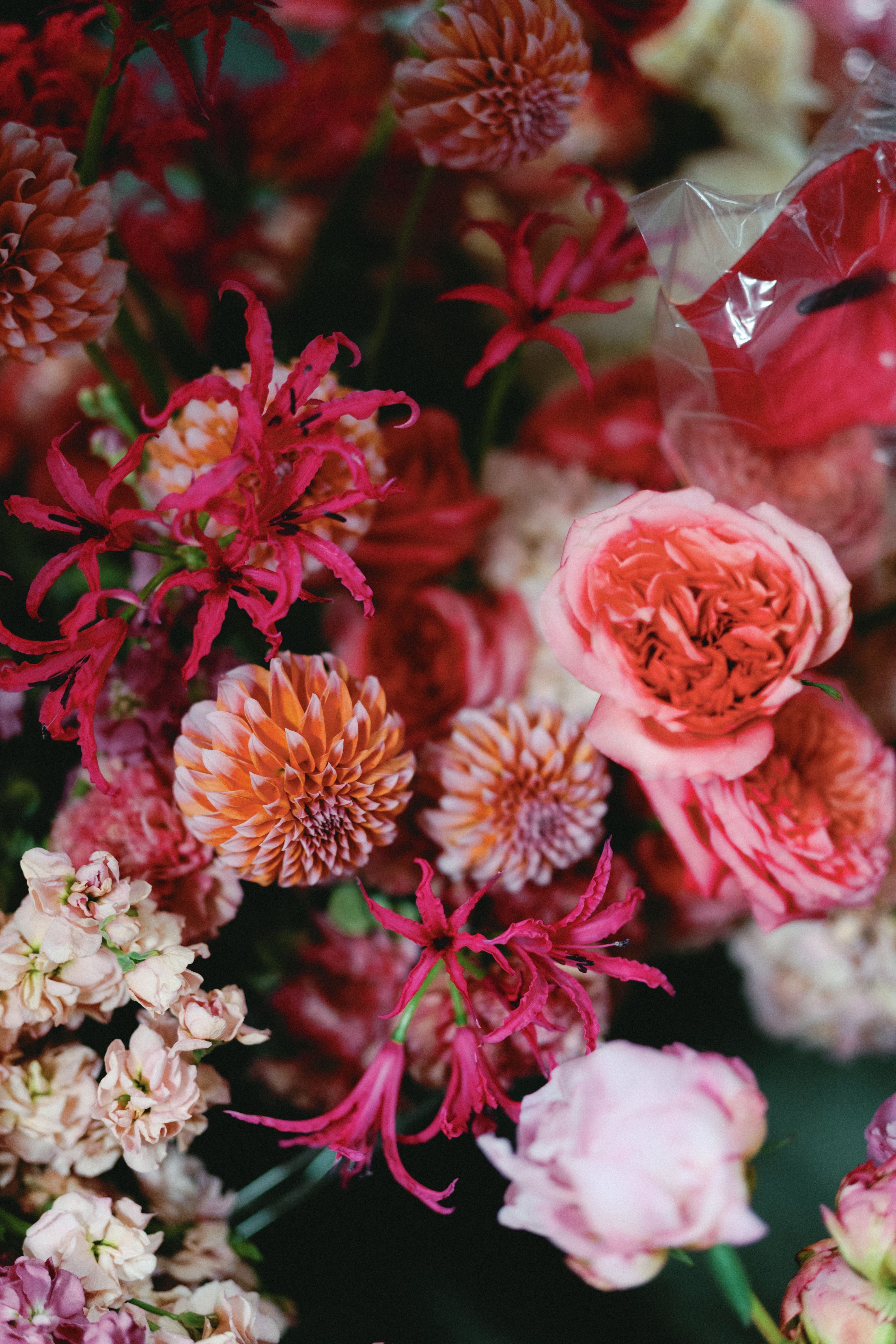 Close-up of a vibrant floral arrangement featuring peach dahlias, hot pink nerines, and soft blush roses.